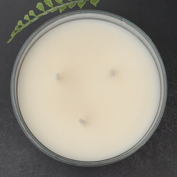 BBW Coconut Sandalwood White Barn Bath & Body Works 3 Wick Candle - Picture 7 of 10